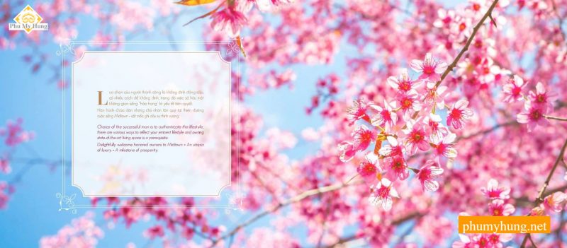 the grrande midtown m5 40 phumyhung.net