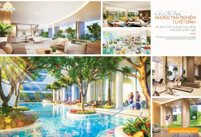 the peak phu my hung 10