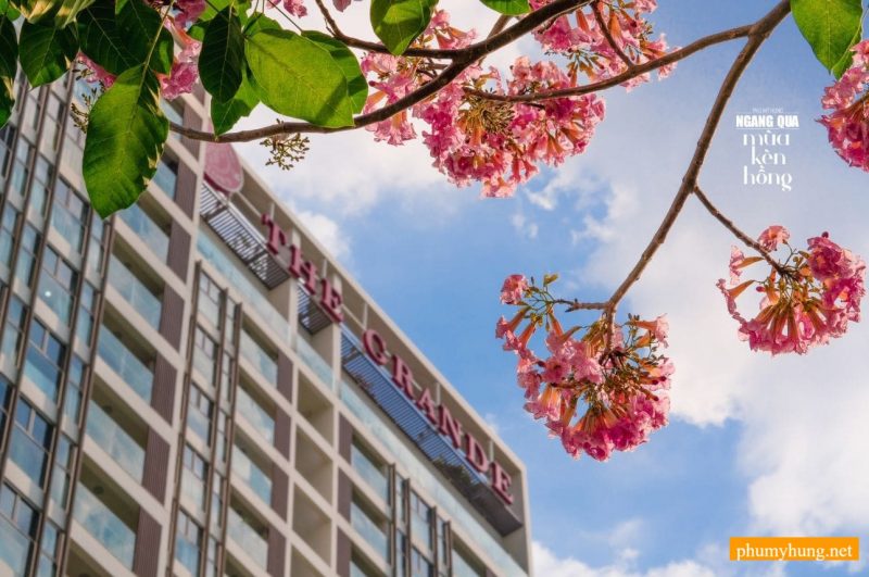 cong vien hoa anh dao 10 phumyhung.net